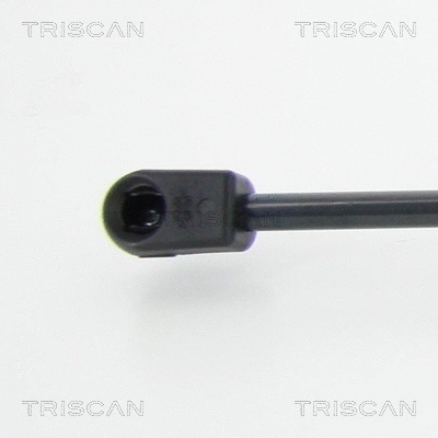 Gas Spring, boot/cargo area