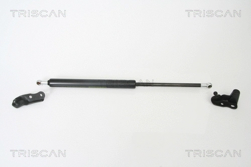 Gas Spring, boot/cargo area (8710 13265)