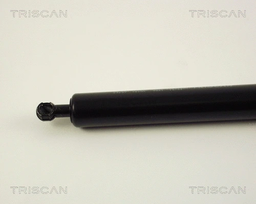 Gas Spring, boot/cargo area