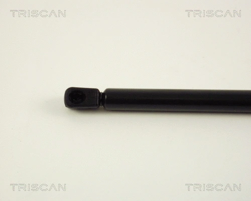 Gas Spring, boot/cargo area