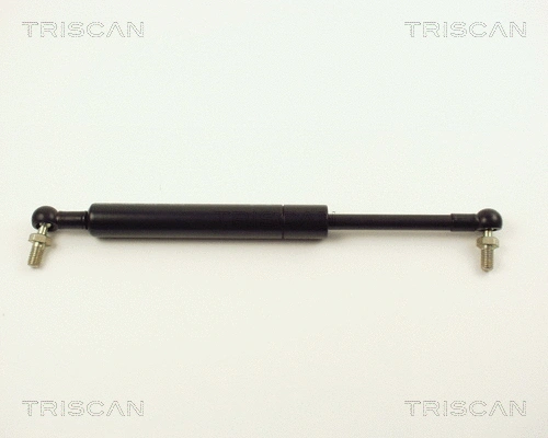 Gas Spring, boot/cargo area (8710 14216)