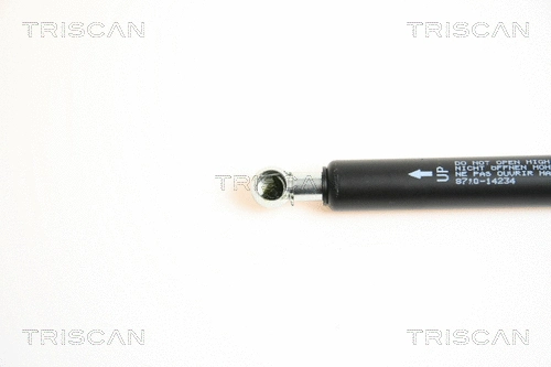 Gas Spring, boot/cargo area