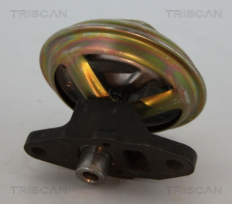 EGR Valve (8813 21009)