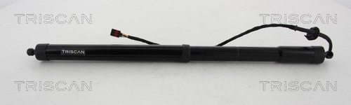 Gas Spring, boot/cargo area (8710 292193)