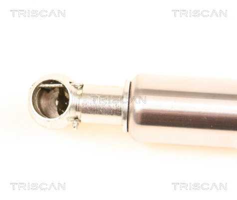 Gas Spring, boot/cargo area