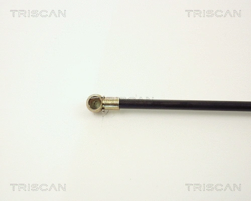 Gas Spring, boot/cargo area