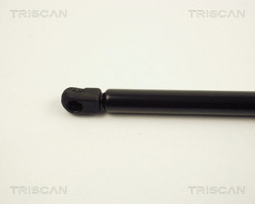 Gas Spring, boot/cargo area