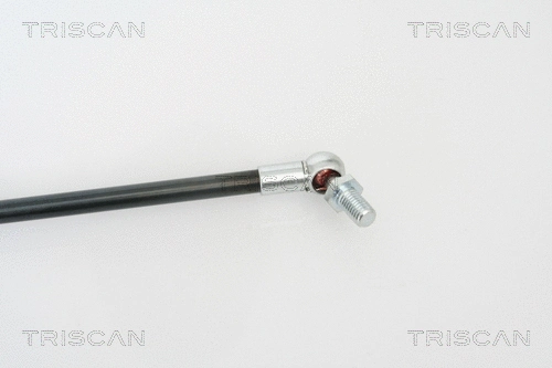 Gas Spring, boot/cargo area