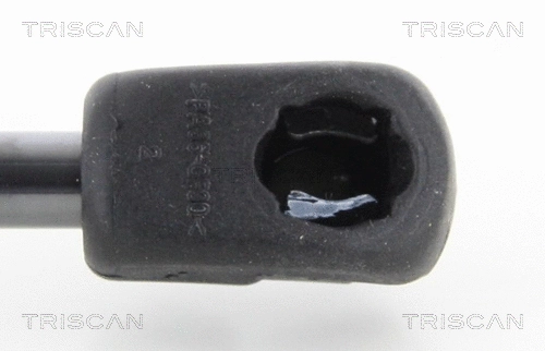 Gas Spring, boot/cargo area