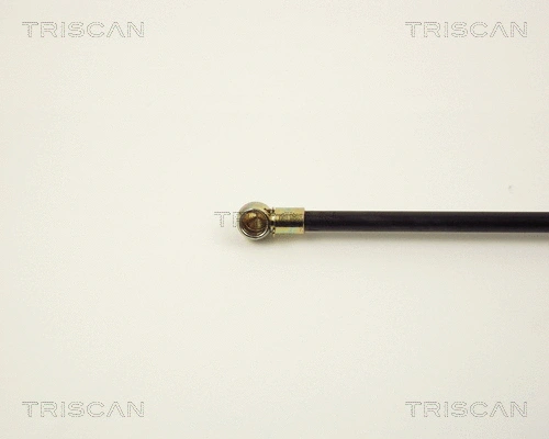 Gas Spring, boot/cargo area