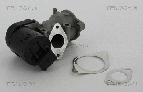 EGR Valve (8813 10001)