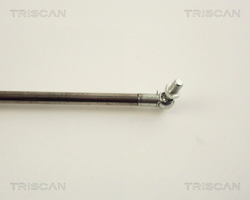 Gas Spring, boot/cargo area