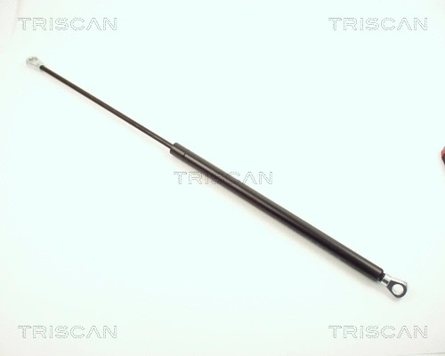 Gas Spring, boot/cargo area (8710 1601)