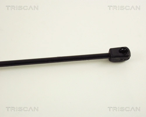 Gas Spring, boot/cargo area