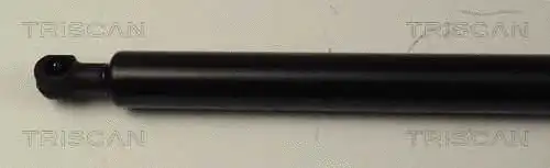 Gas Spring, boot/cargo area