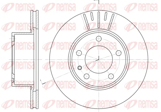 Brake Disc (6317 10)