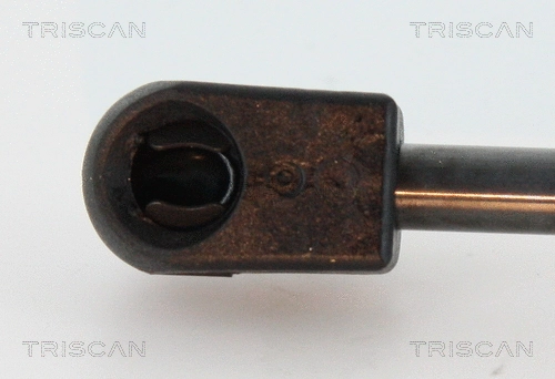 Gas Spring, boot/cargo area