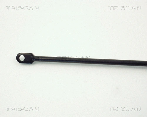 Gas Spring, boot/cargo area