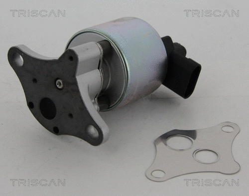 EGR Valve (8813 24100)