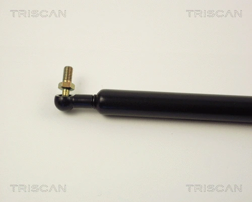 Gas Spring, boot/cargo area