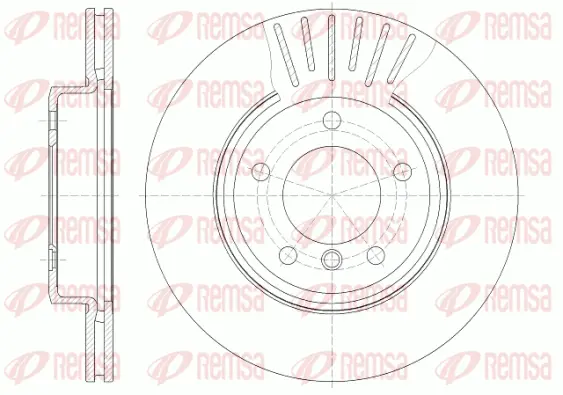Brake Disc (6589 10)
