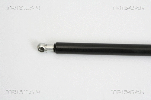 Gas Spring, boot/cargo area