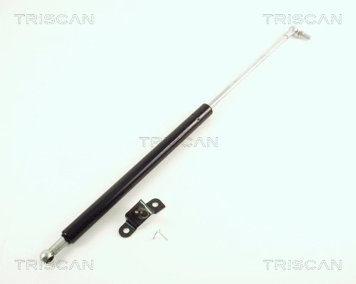 Gas Spring, boot/cargo area (8710 42210)