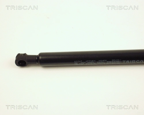 Gas Spring, boot/cargo area