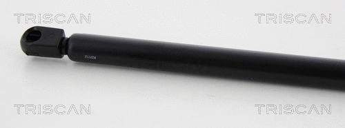 Gas Spring, boot/cargo area