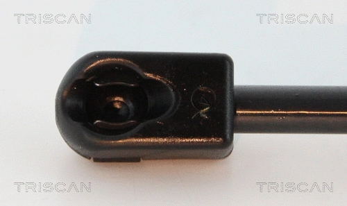 Gas Spring, boot/cargo area