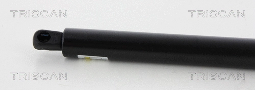 Gas Spring, boot/cargo area