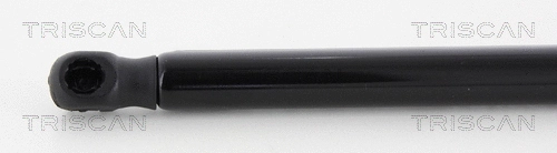 Gas Spring, boot/cargo area