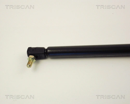 Gas Spring, boot/cargo area