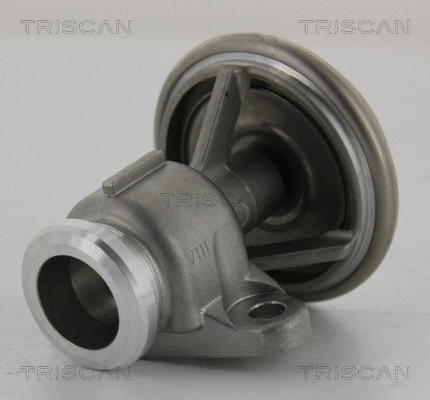 EGR Valve (8813 23201)