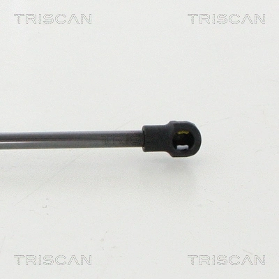 Gas Spring, boot/cargo area