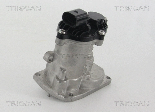 EGR Valve (8813 16151)
