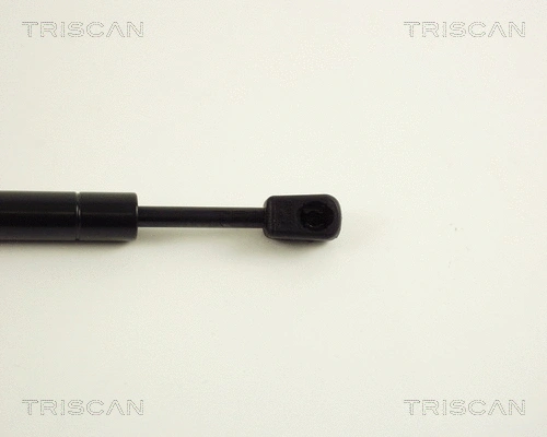 Gas Spring, boot/cargo area