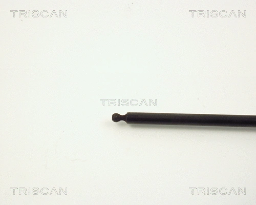 Gas Spring, boot/cargo area