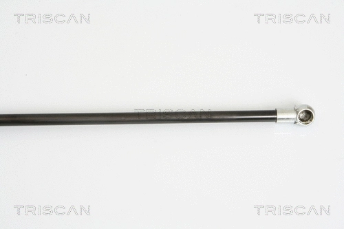 Gas Spring, boot/cargo area