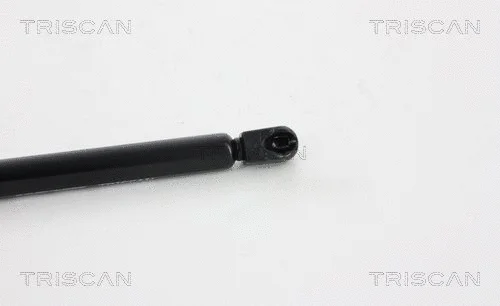 Gas Spring, boot/cargo area