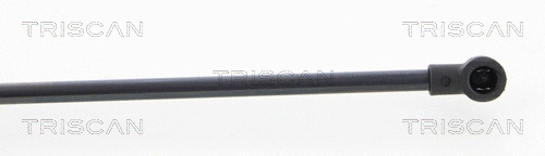 Gas Spring, boot/cargo area