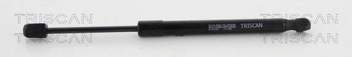 Gas Spring, bonnet (8710 18102)