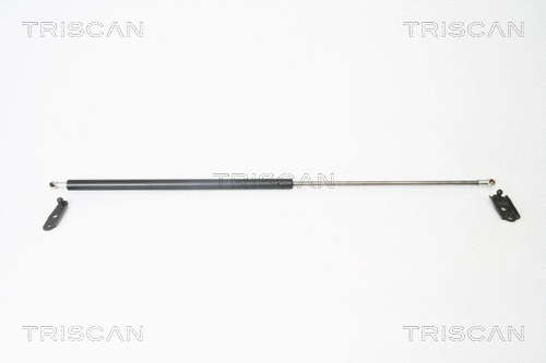 Gas Spring, boot/cargo area (8710 13253)