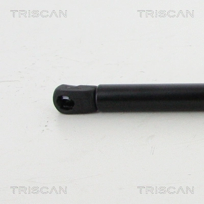 Gas Spring, boot/cargo area