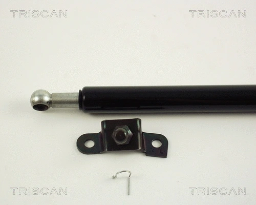 Gas Spring, boot/cargo area