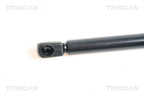 Gas Spring, bonnet