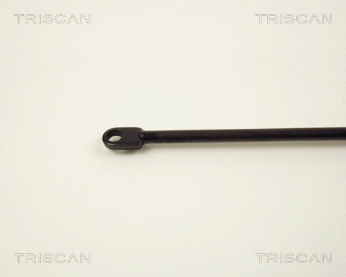 Gas Spring, boot/cargo area