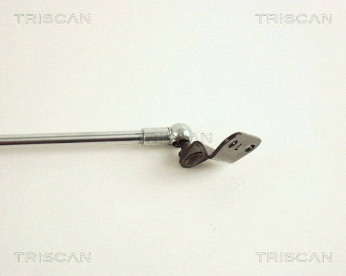 Gas Spring, boot/cargo area