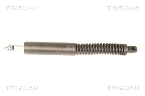 Gas Spring, boot/cargo area (8710 38228)