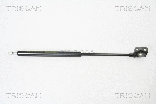 Gas Spring, boot/cargo area (8710 13271)